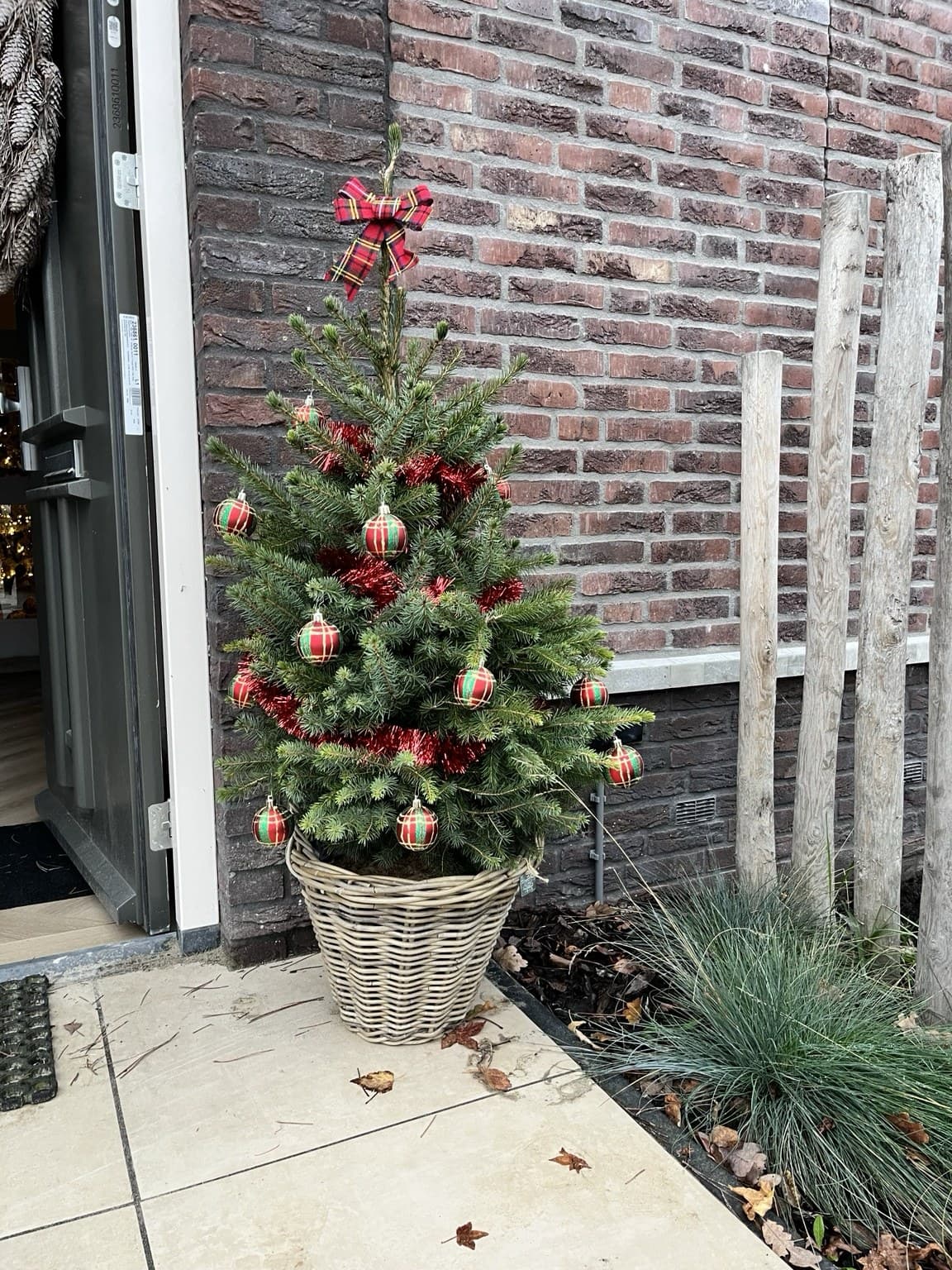 A small Christmas tree in a wicker basket by Esther's front door, decorated with red tartan baubles and a matching bow.