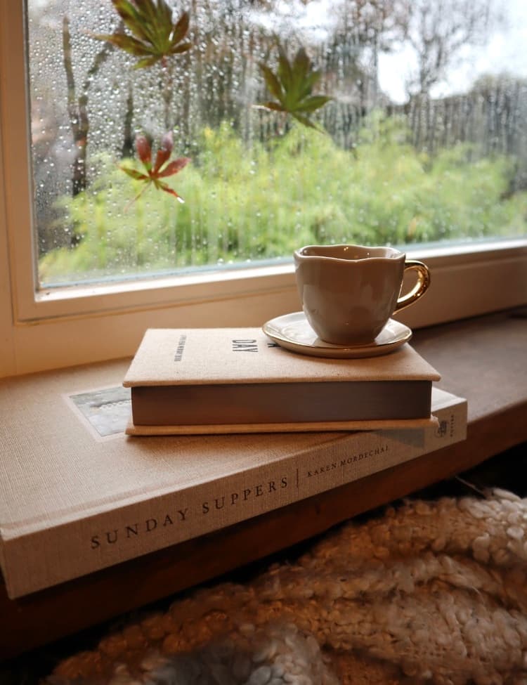 Two books stacked on a windowsill, rain streaking the glass and autumn leaves visible outside.