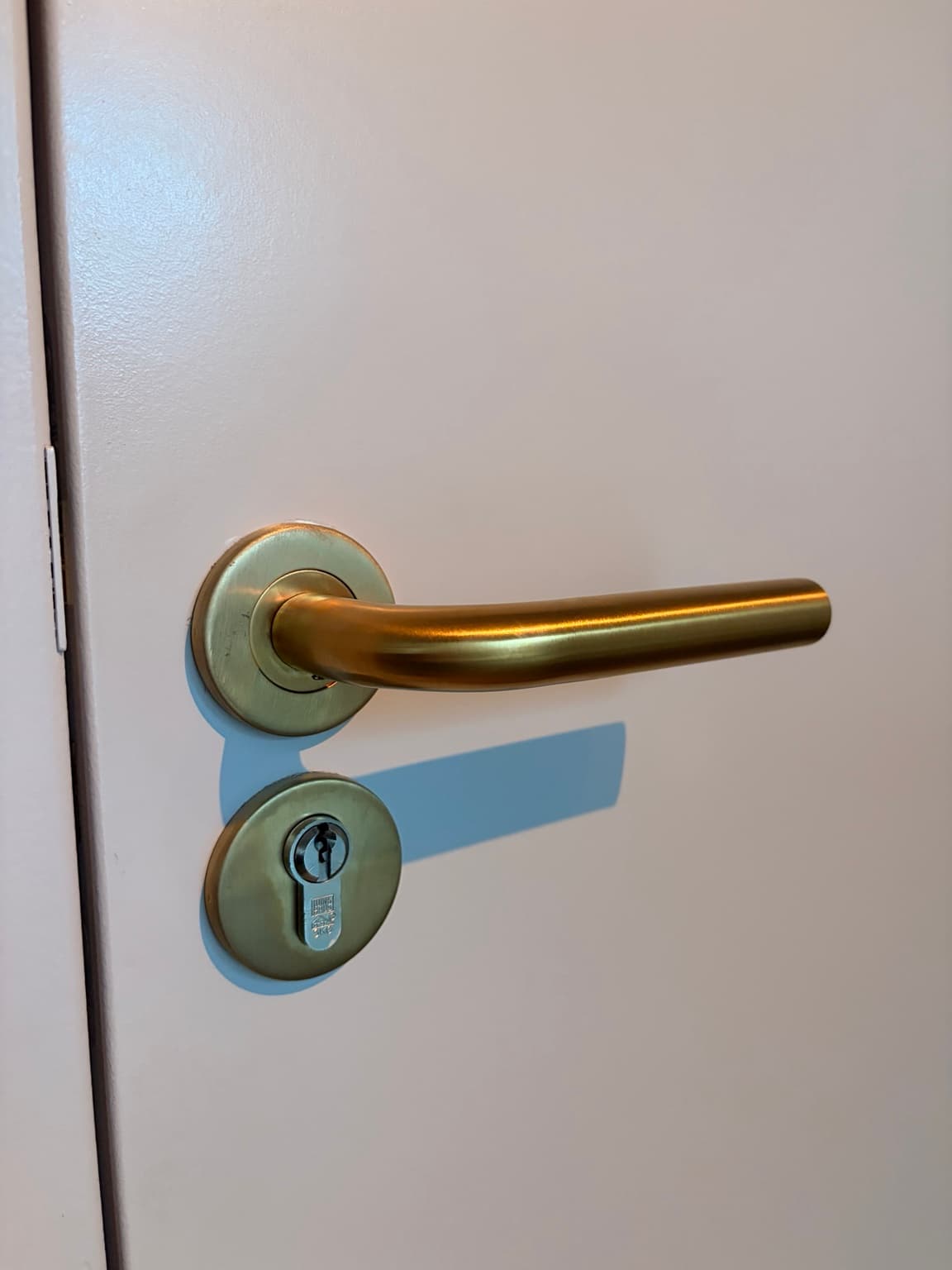 Brushed brass door handle and round escutcheons on a light interior door.