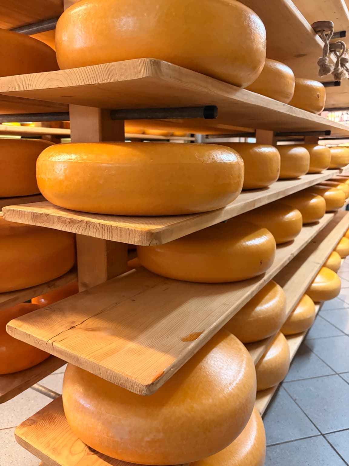 Large wheels of cheese stacked on wooden shelves.