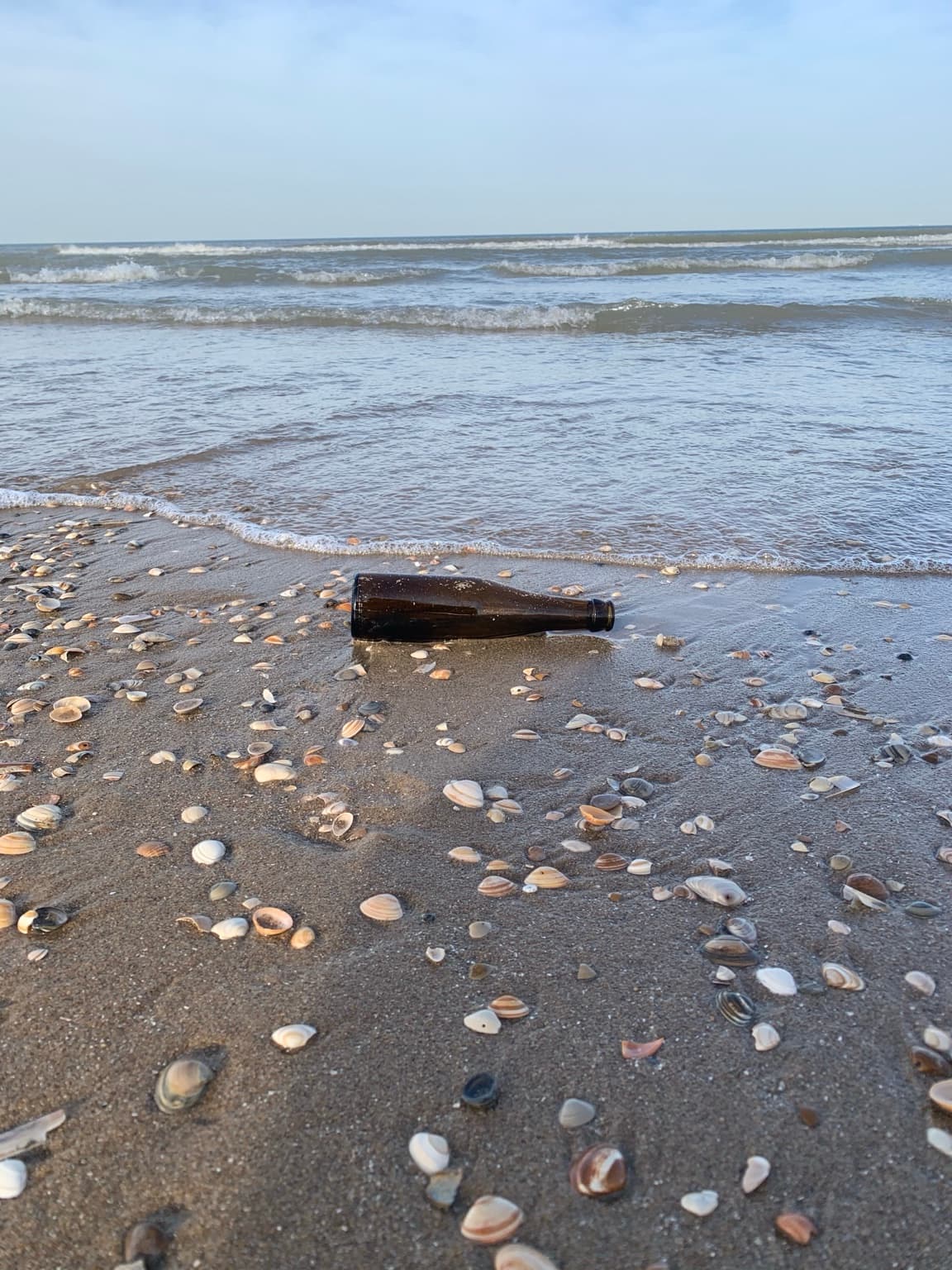 A dark glass bottle lying among scattered shells on the sand at the water's edge.