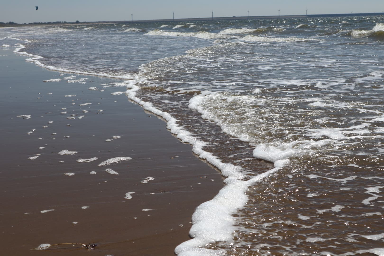 Sea foam and small waves washing onto a wet sandy beach on a clear day.
