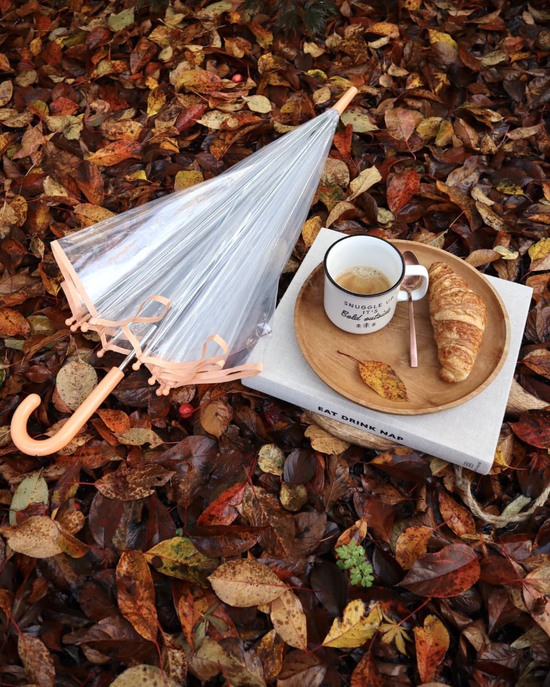 A clear umbrella, a wooden plate with a mug of coffee, a spoon and a croissant resting on a book, set on a bed of autumn leaves