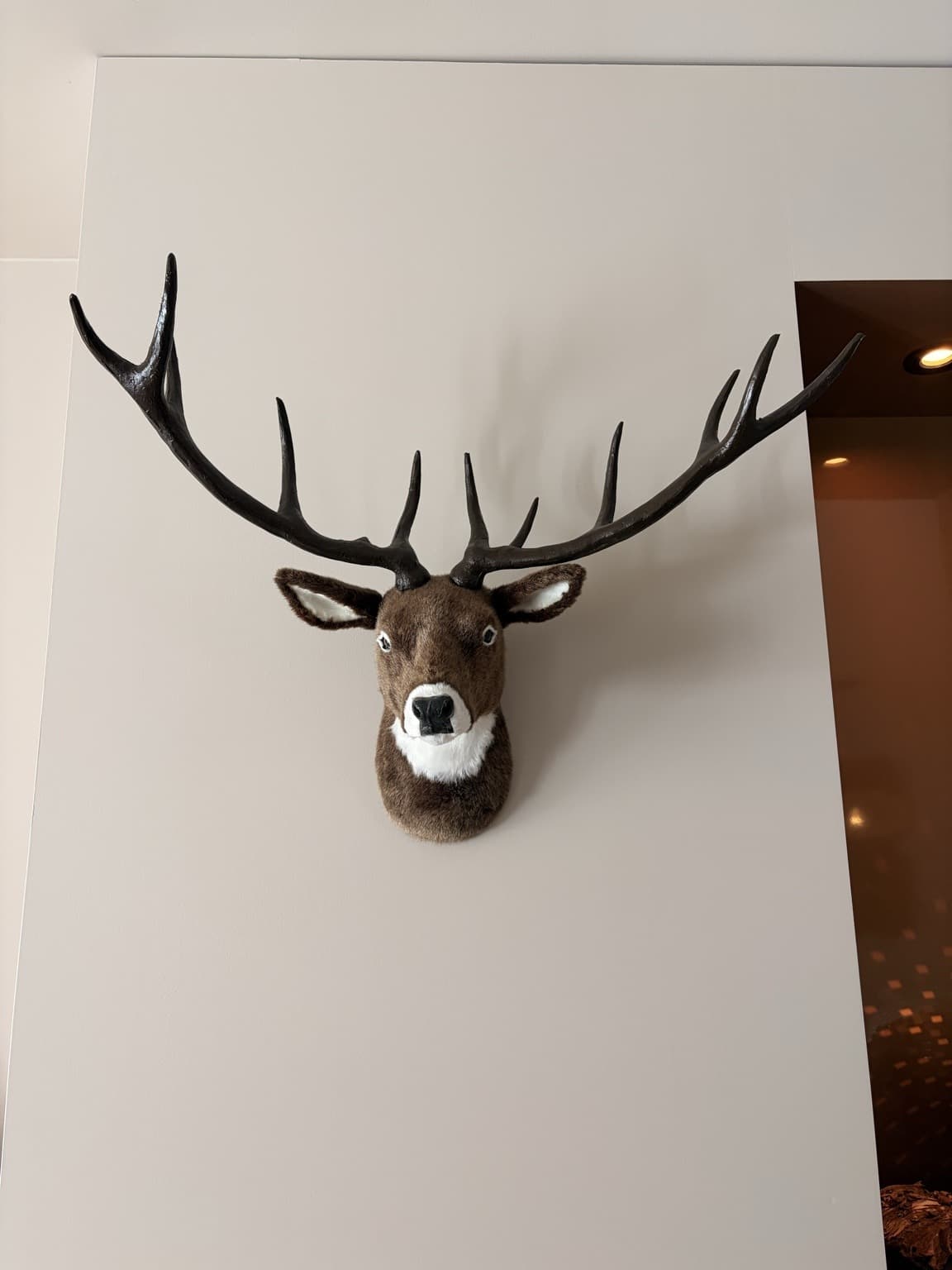 A plush deer head with large antlers mounted on a pale wall.