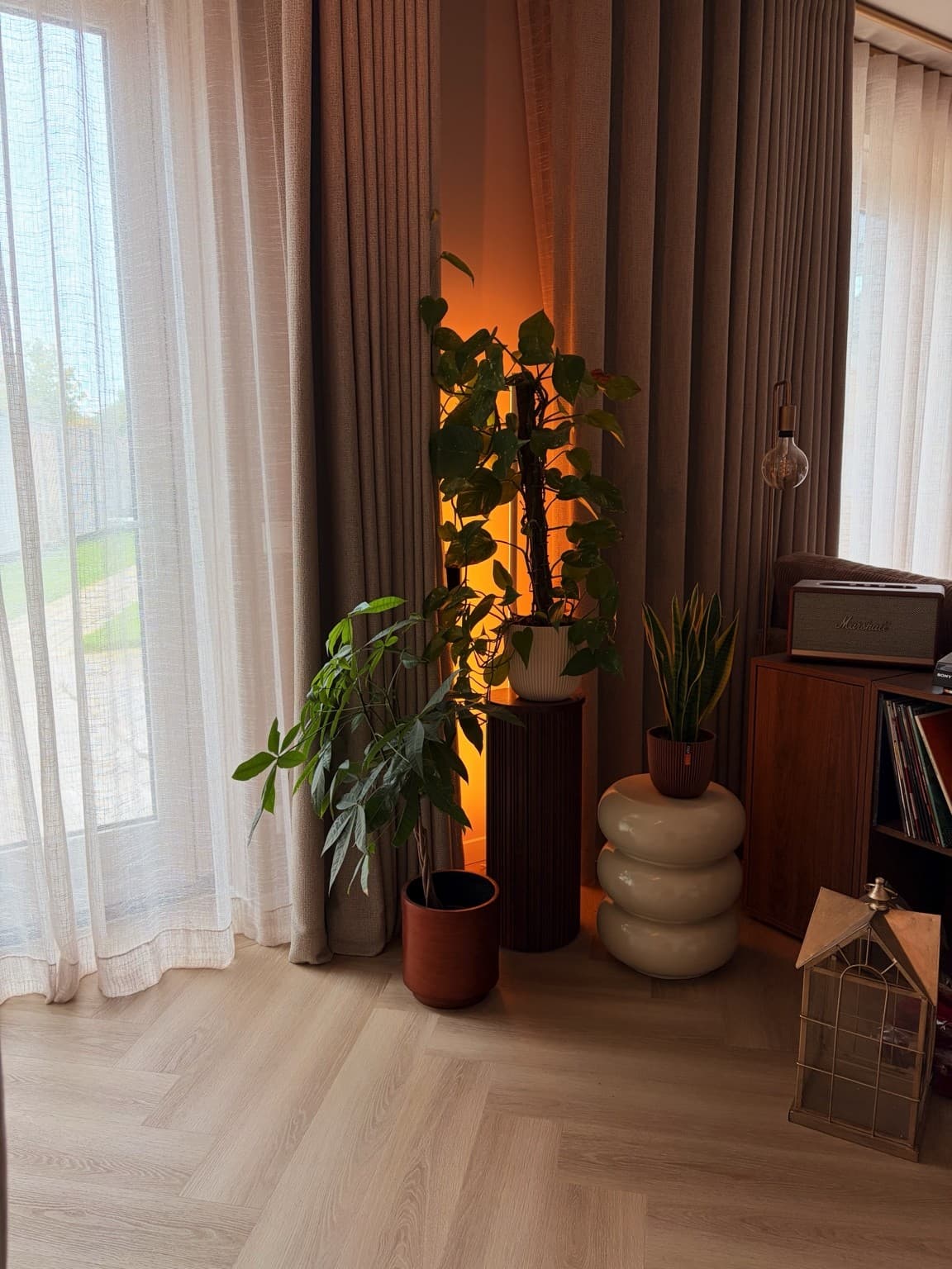 Plants and warm lighting beside the curtains in Esther’s living space.