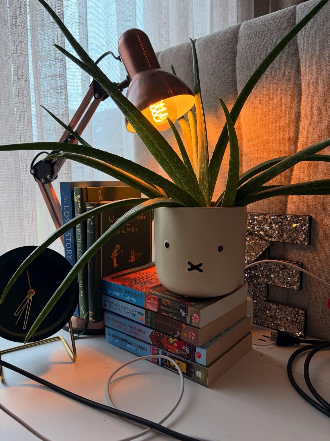An aloe vera in a white Miffy pot beside books and a glowing desk lamp.