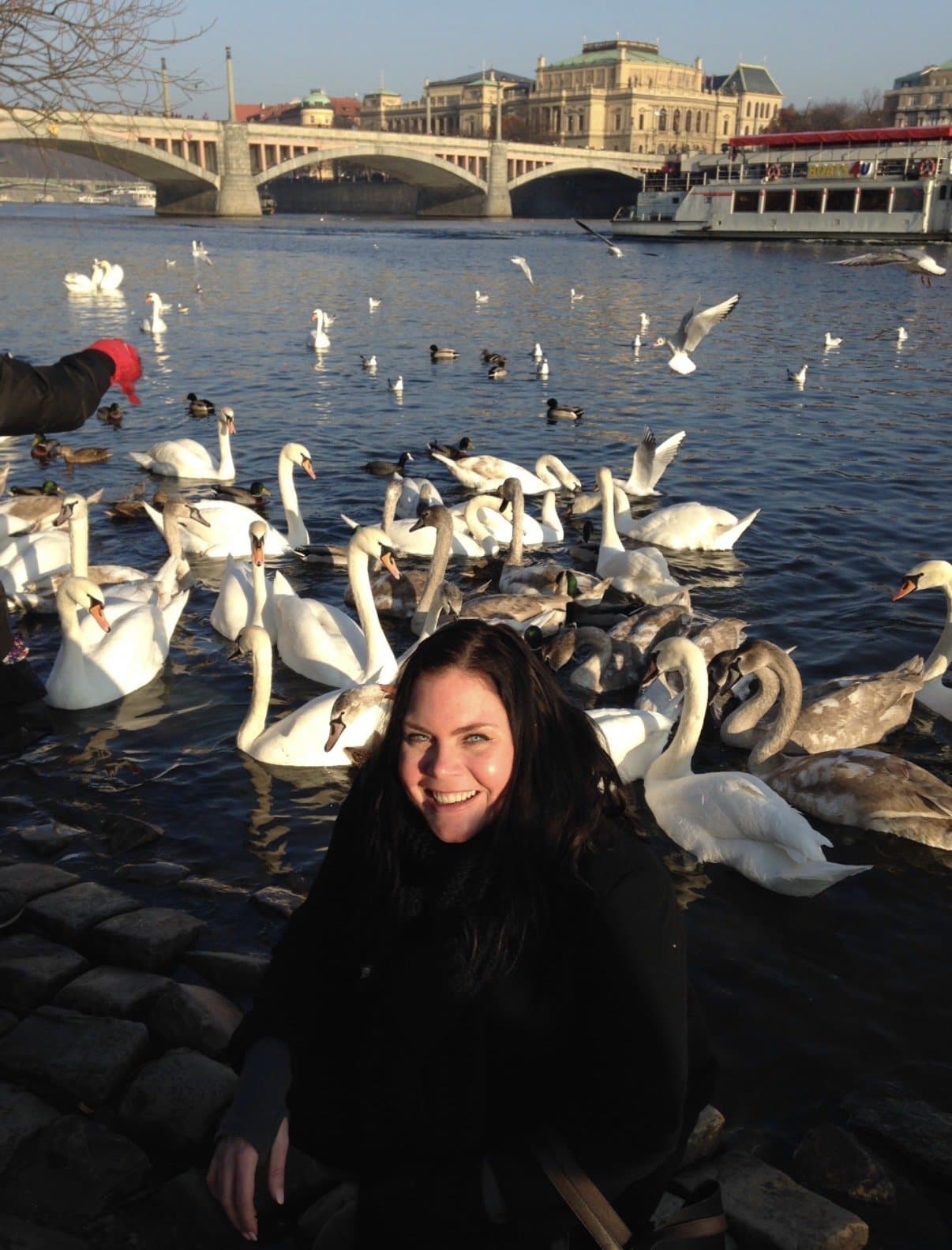 Esther crouched by the river feeding a group of swans, with a bridge visible in the background.