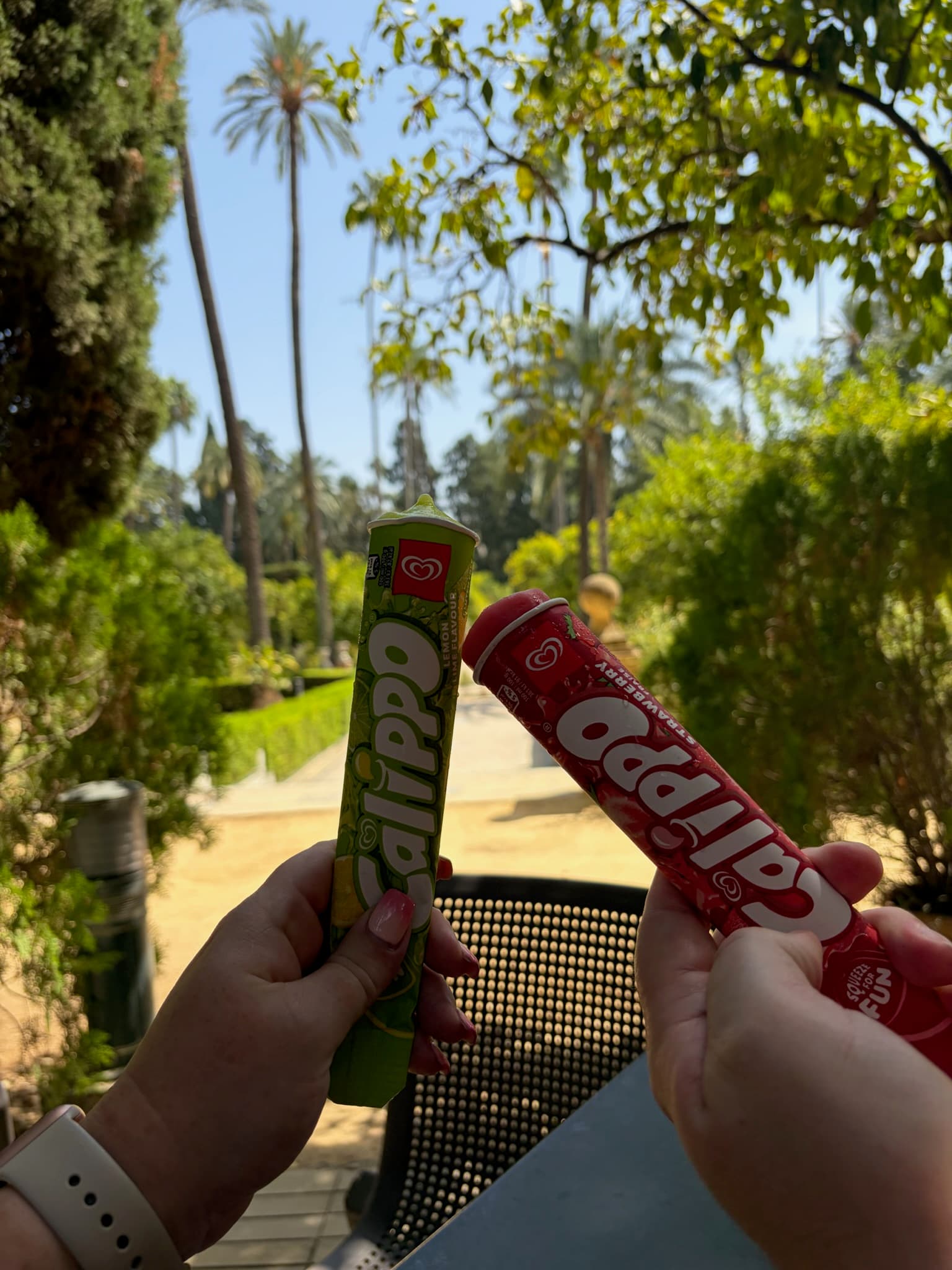 Calippo ice lollies in the gardens of the Real Alcázar, Seville
