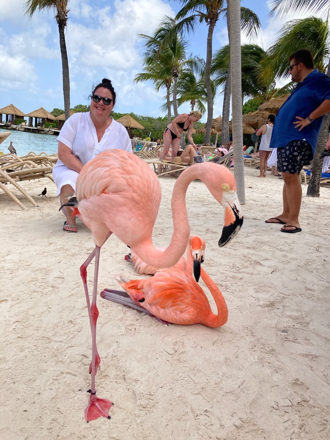 Esther seated near two flamingos on Renaissance Island