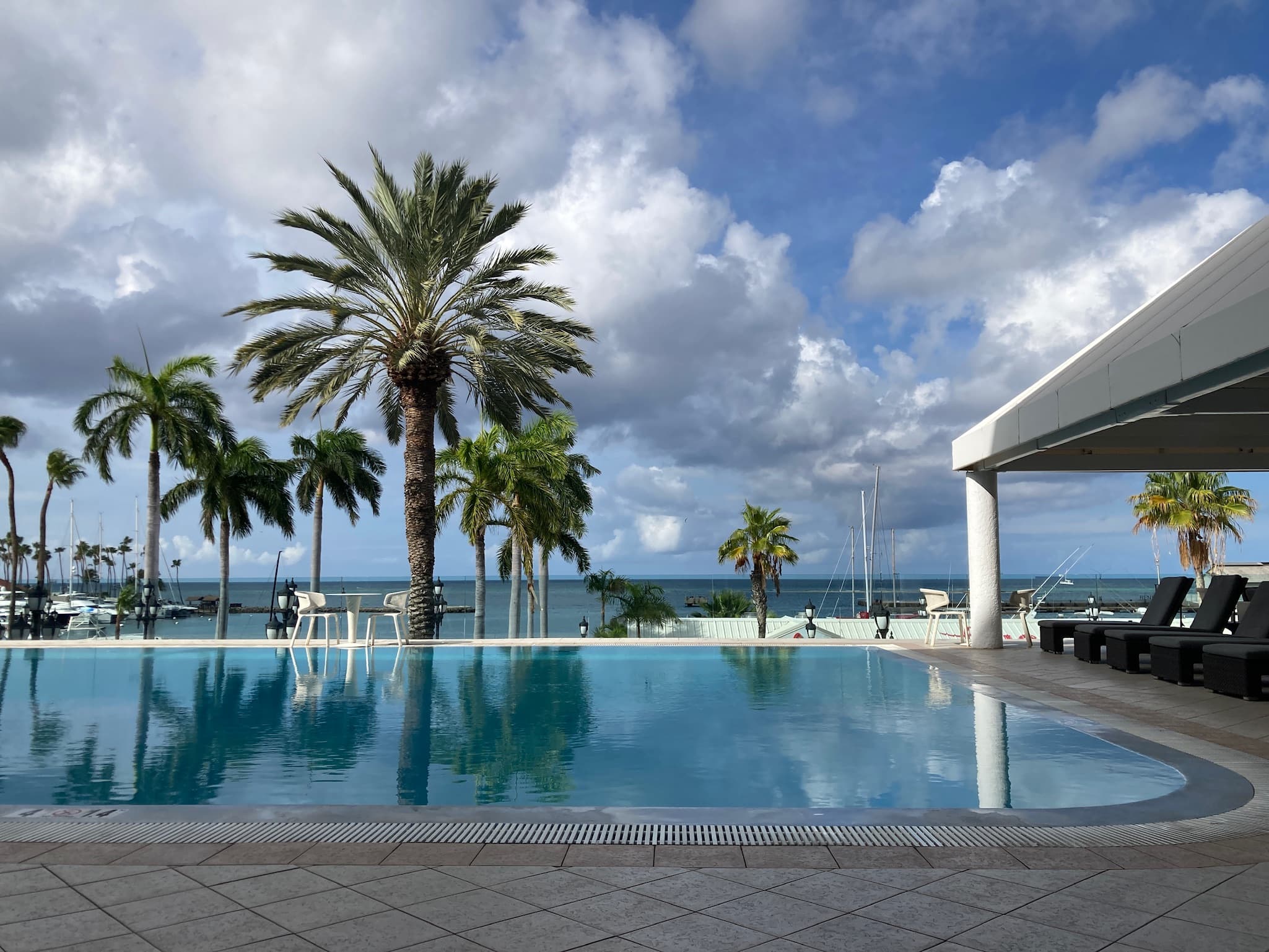 Rooftop pool overlooking the marina at Renaissance Marina Hotel, Aruba