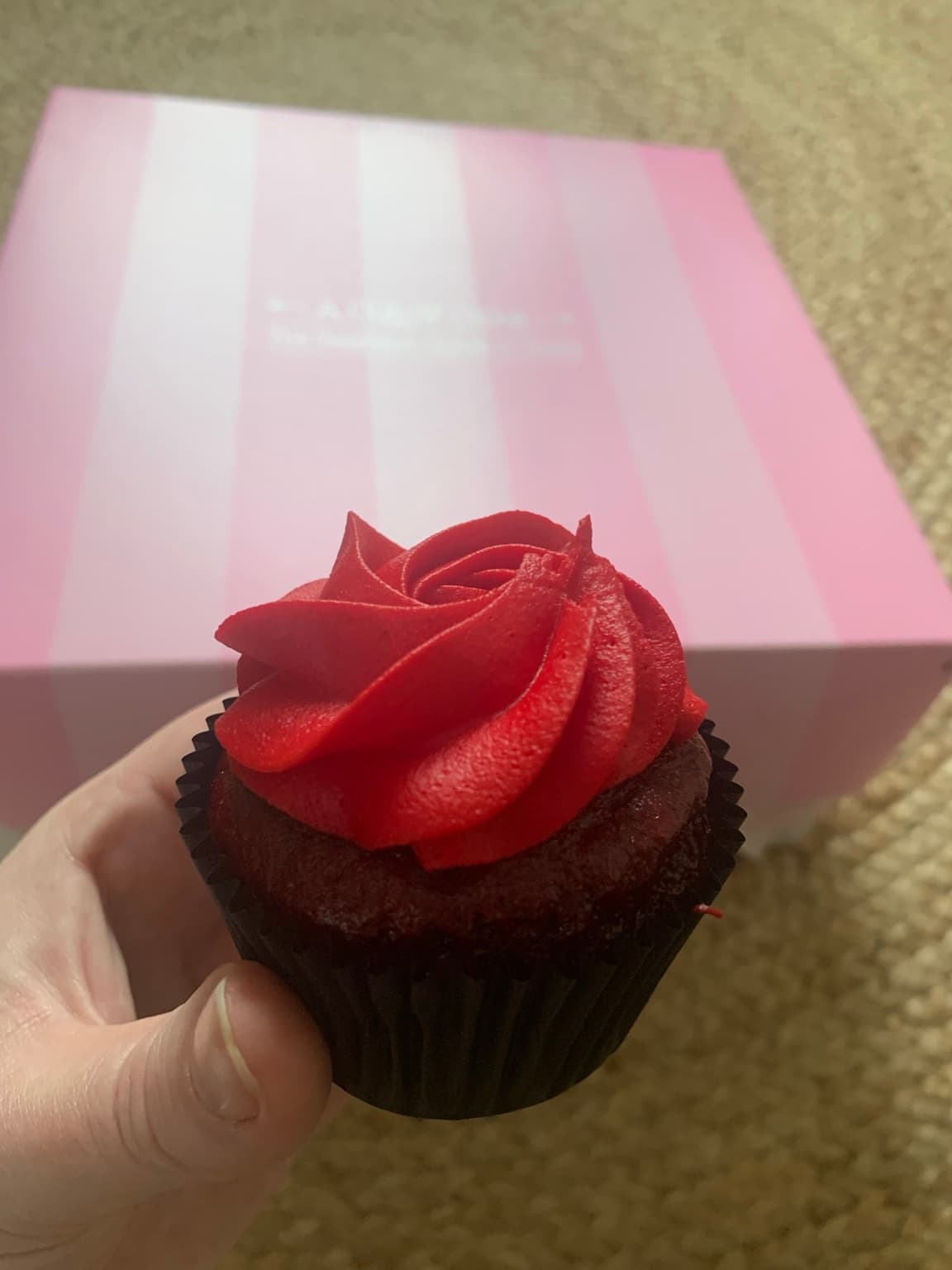A chocolate cupcake with red swirled topping, held in one hand.